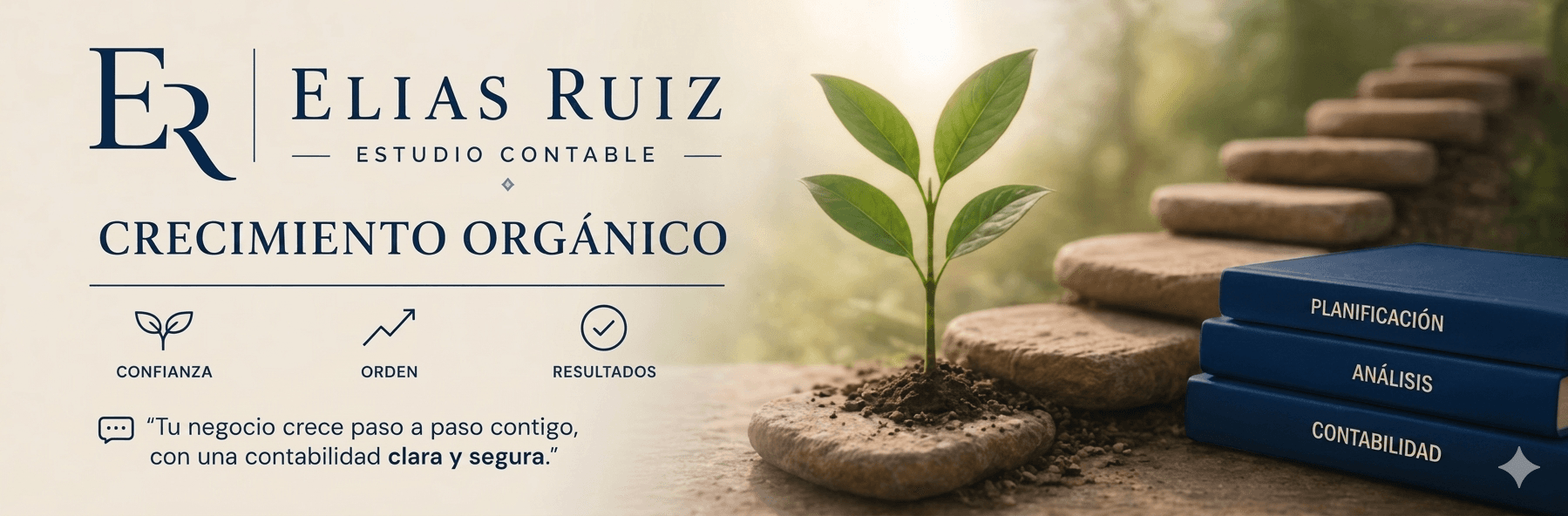 Contabilidad profesional